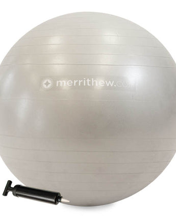 Stability Ball with pump - 65cm - Silver